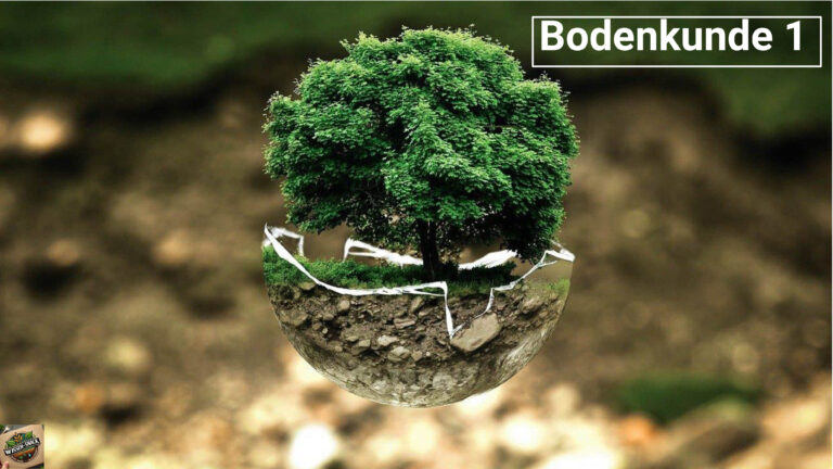 01 Wissen-Snack: Bodenkunde Teil 1