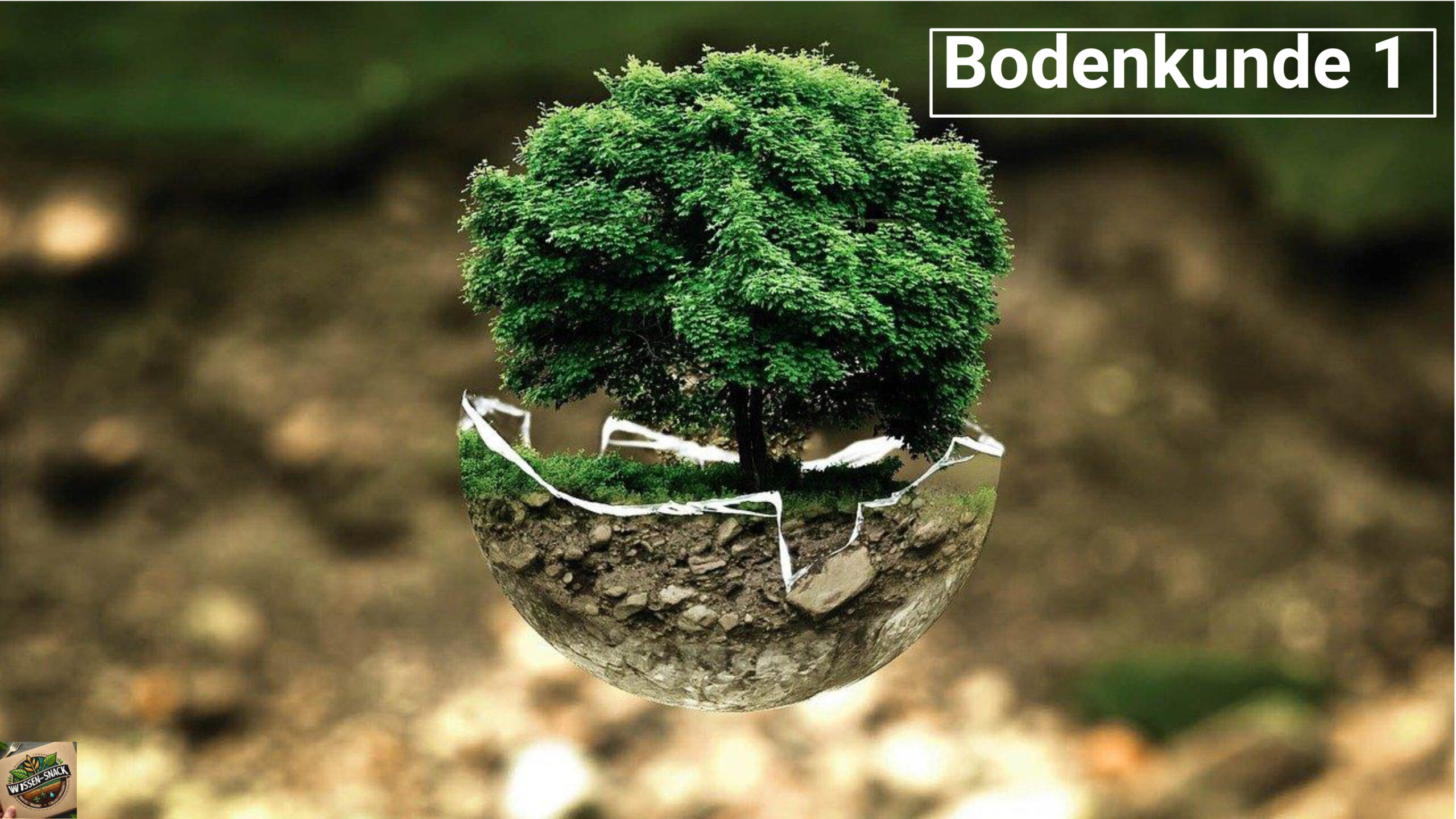 01 Wissen-Snack: Bodenkunde Teil 1
