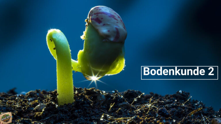 02 Wissen-Snack: Bodenkunde Teil 2