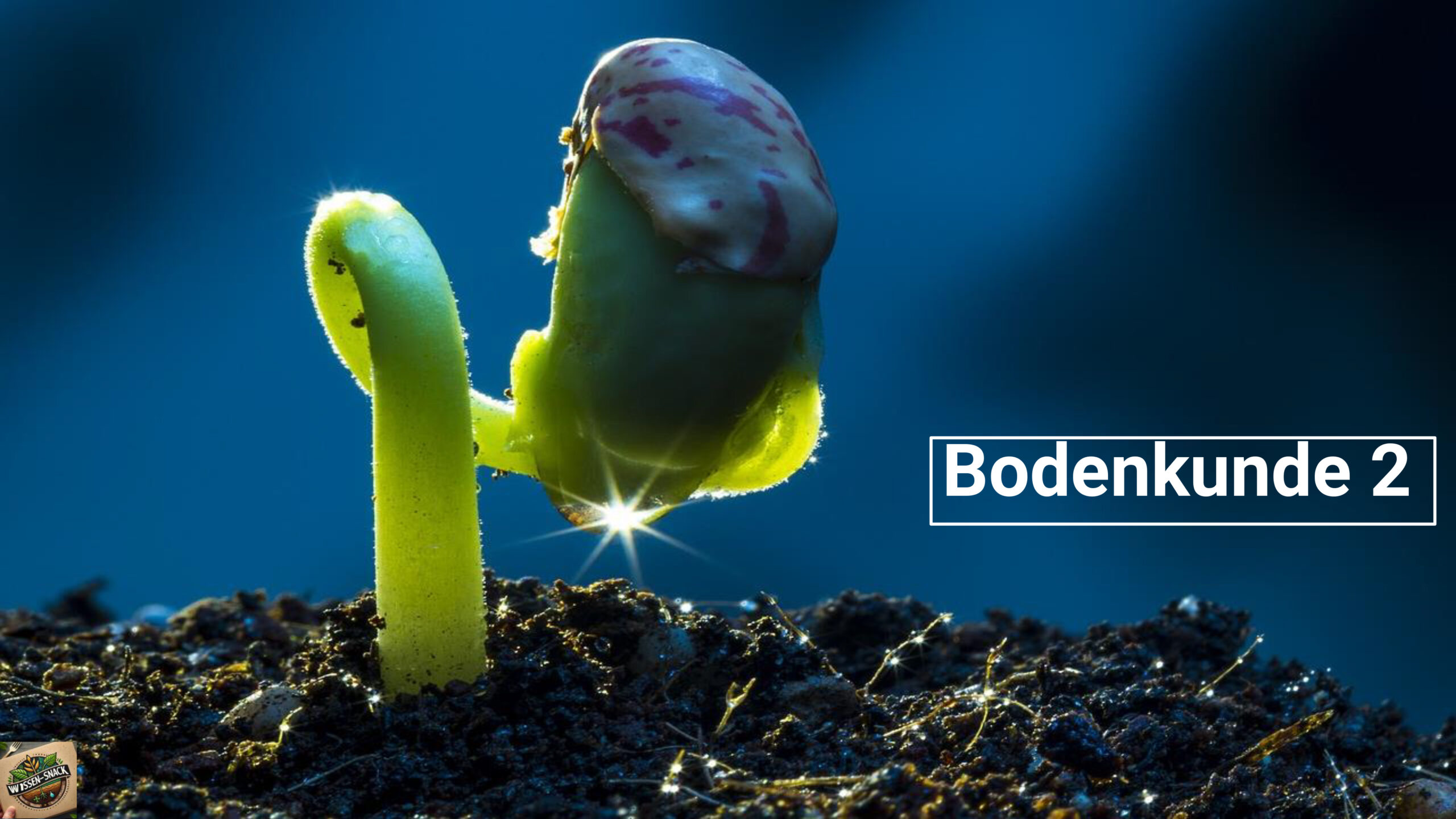 02 Wissen-Snack: Bodenkunde Teil 2